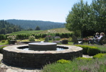 Goldeneye Winery