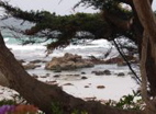 Monterey Coast