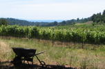Soquel Vineyards