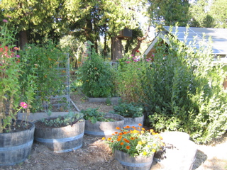 Emtu Estate Winery gardens