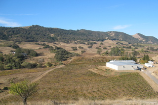 Peachy Canyon winery and one vineyard